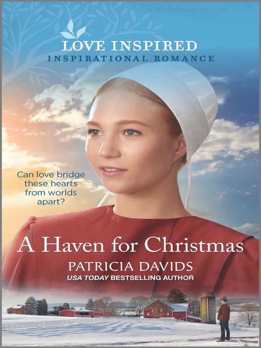 Cover image for A Haven for Christmas